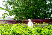 綠色校園-10